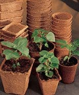 Firkantet fiberpotte 6 x 6 cm. 80 stk - Blomsterverden